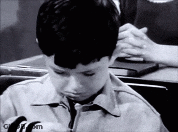 Beaver GIF