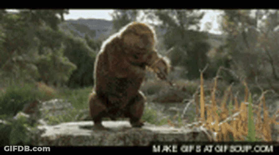 Beaver Serenading Girls With Violin GIF