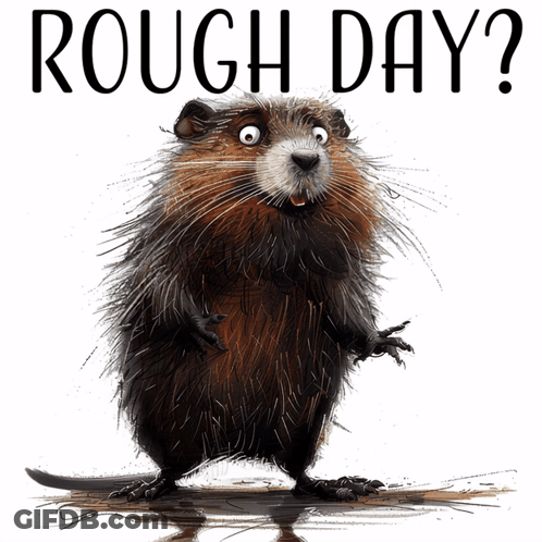 Beaver With Rough Day Text GIF