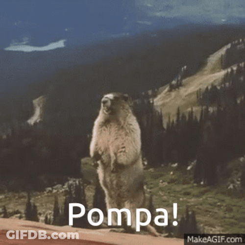 Beaver Yelling Calling Out Pompa Meme GIF
