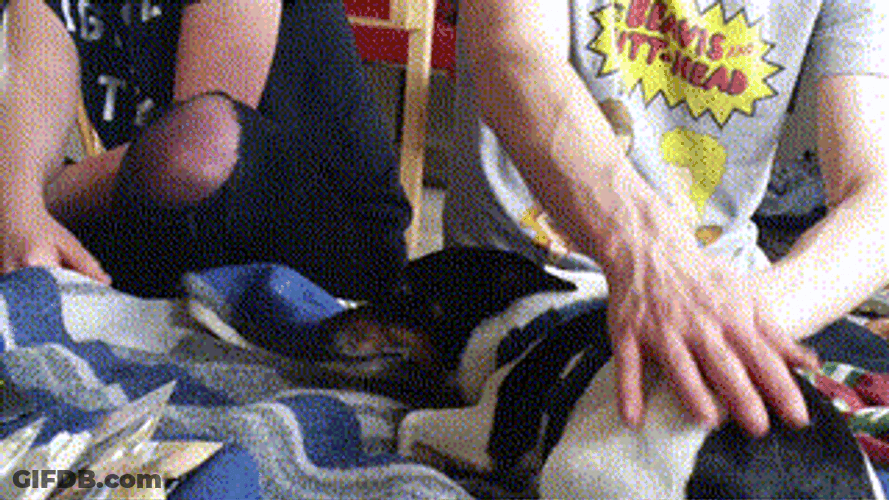 Beavis And Butt Head Fan Shirt GIF