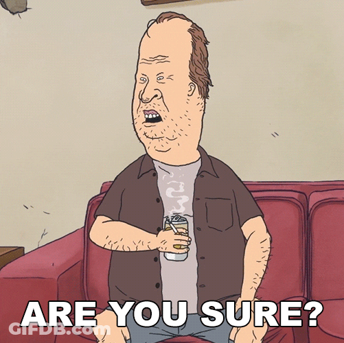 Beavis And Butthead Are You Sure About That GIF
