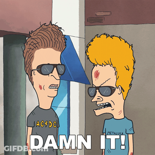 Beavis And Butthead Damn It GIF