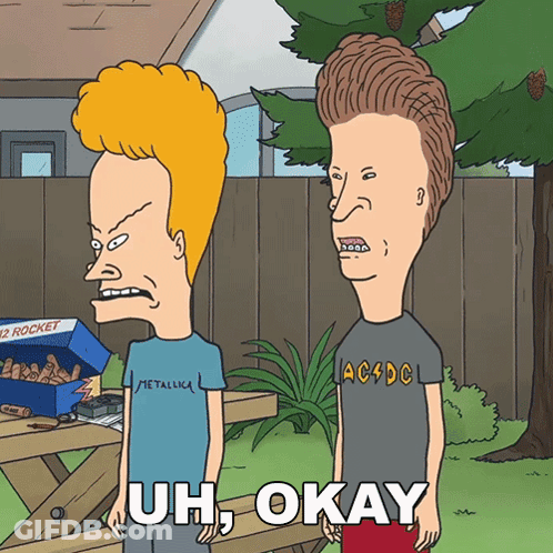 Beavis And Butthead With Uh Okay GIF
