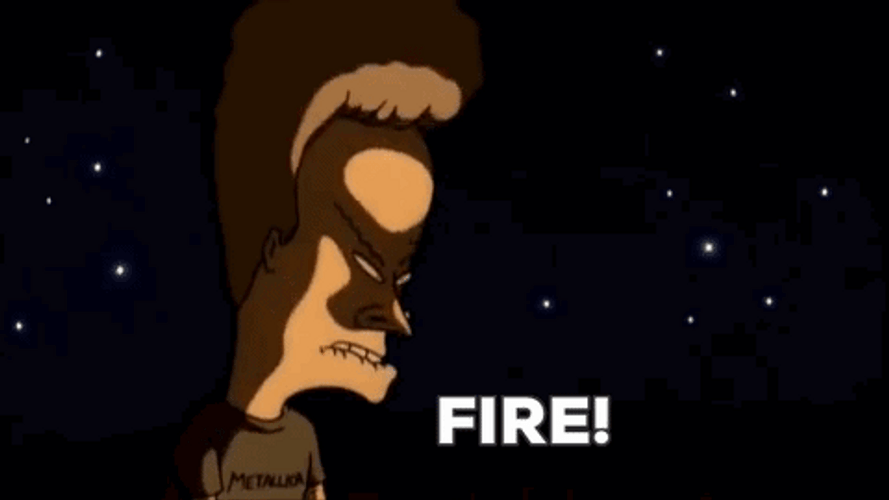 Beavis And Friends Bonfire GIF