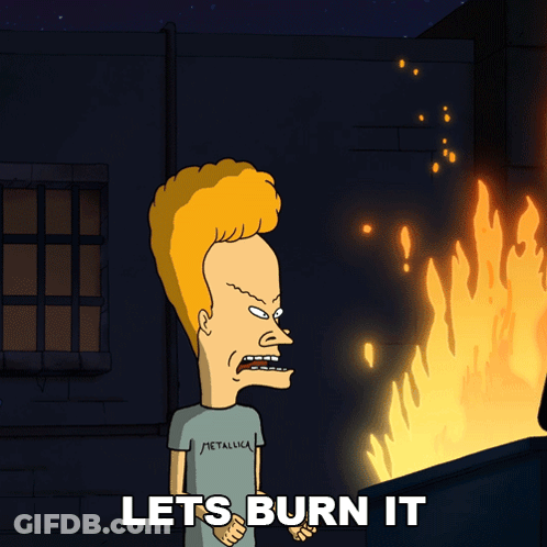 Beavis From Beavis And Butthead Is Standing In Front Of A Fire With The Words Let 'S Burn It Below Him GIF