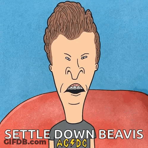 Beavis From Beavis And Butthead GIF