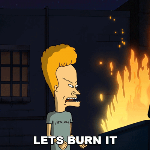 Beavis Lets Burn It GIF