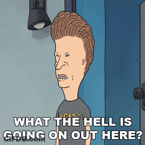Beavis Saying What The Hell Is Going On GIF