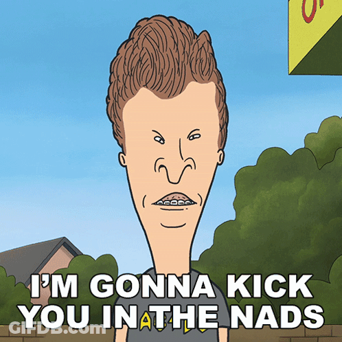 Beavis Says I'm Gonna Kick You In The Nads GIF
