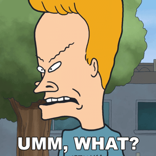 Beavis Umm What GIF
