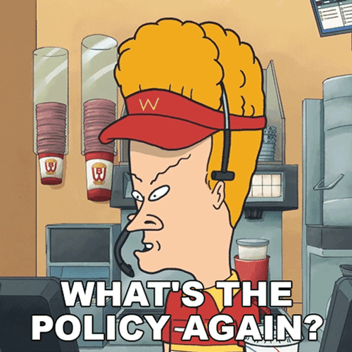 Beavis Whats The Policy Again GIF