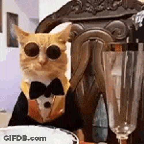 Bebendo Sendo Servido GIF