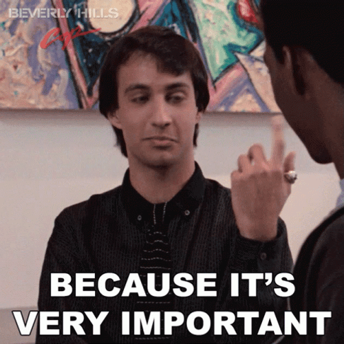 Because Its Very Important Beverly Hills Cop Bronson GIF