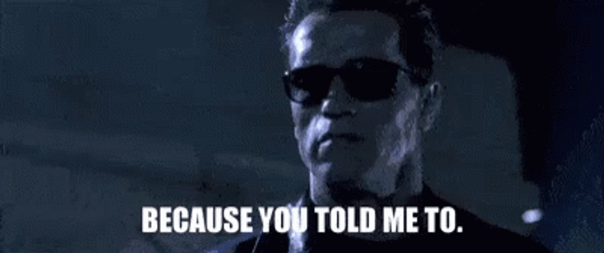 Because You Told Me To Terminator 2 GIF