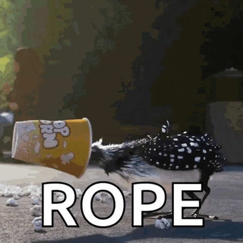 Becky Finding Dory GIF