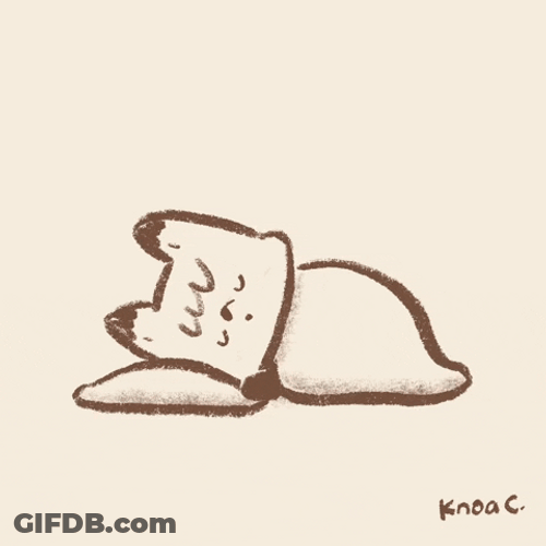 Bed Time Cat Blanket GIF