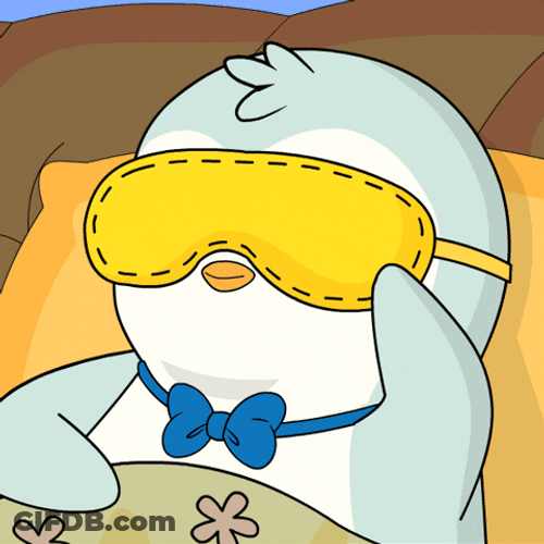 Bed Time Penguin Peaking GIF