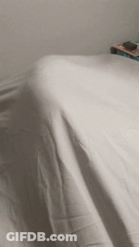 Bed With White Comforter And Stack Of Books GIF