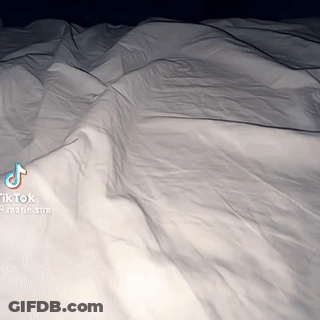 Bed With White Sheets And TikTok Watermark GIF