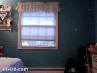 Bedroom With Blue Walls And Window GIF