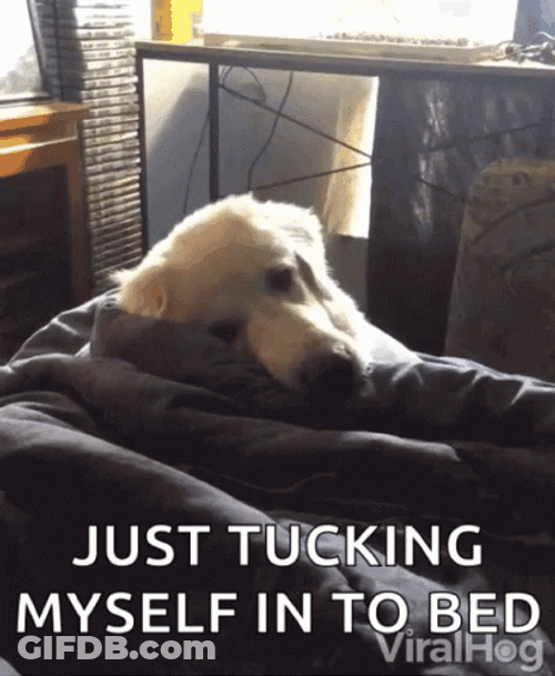 Bedtime GIF
