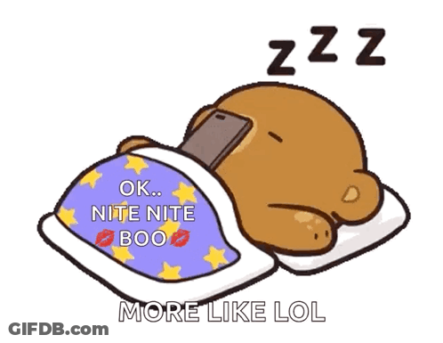 Bedtime Sleeping GIF