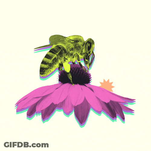 Bee And A Flower GIF