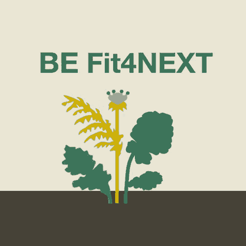 Bee Biene GIF