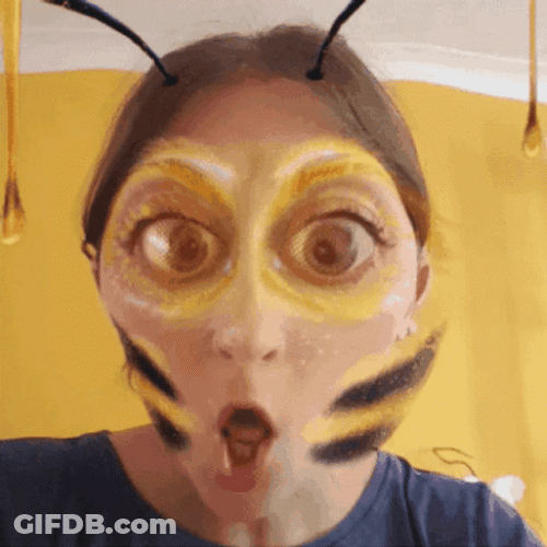 Bee Face Filter Meme GIF
