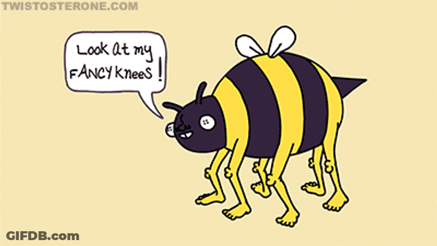 Bee Fancy Knees GIF