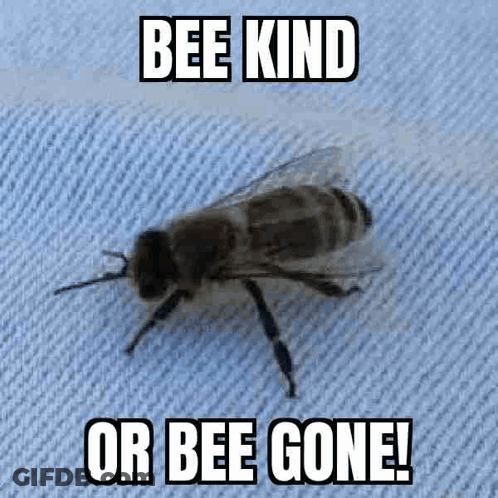 Bee Kind Or Bee Gone GIF
