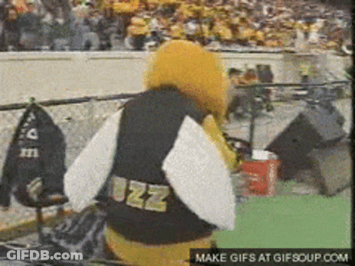 Bee Mascot Jacket Saying Jazz GIF