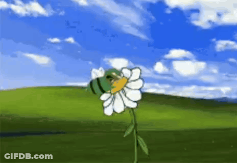 Bee On Flower In Field GIF
