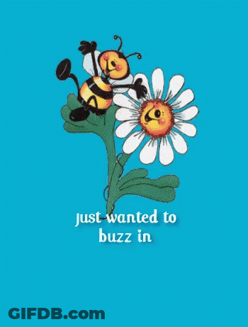 Bee On Flower Just Wanted To Buzz GIF