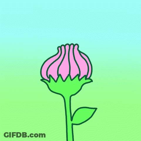 Bee On Flower Saying Hey GIF