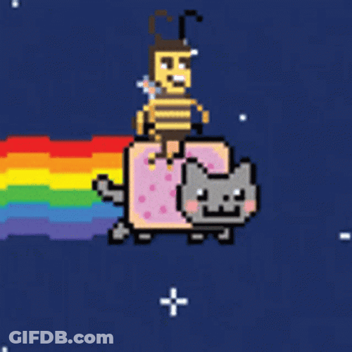 Bee Riding A Cat Meme GIF