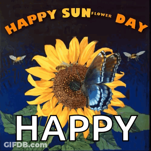 Bee Saying The Right Place To GIF