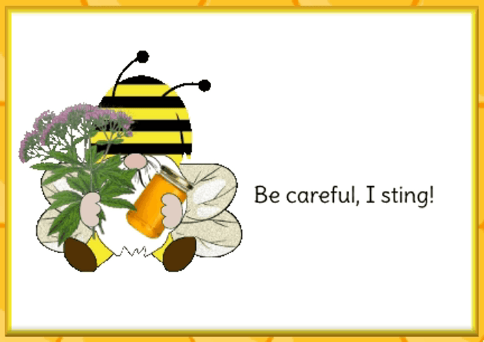 Bee Says Be Careful I Sting GIF