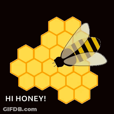 Bee Sitting On Honeycomb Saying Hi Honey GIF