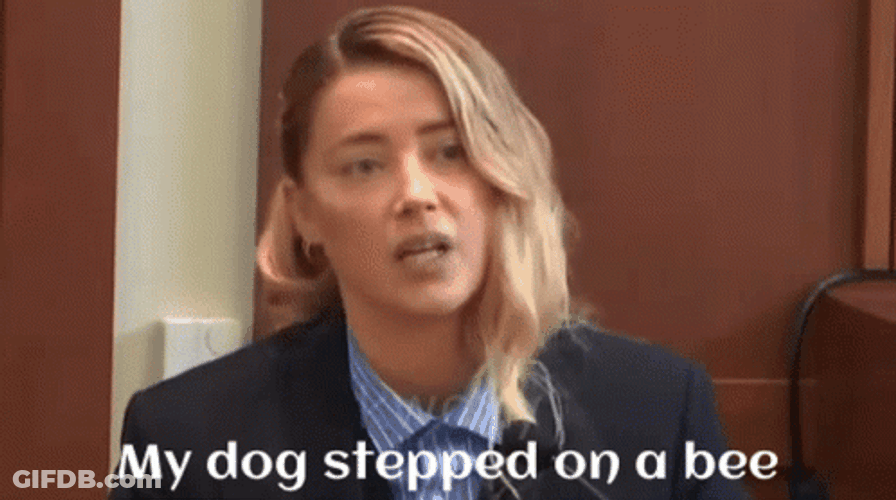 Bee Sting Amber Heard GIF