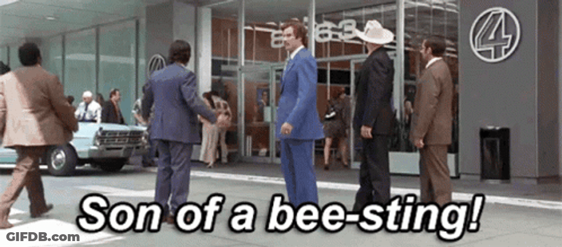 Bee Sting Angry Man GIF