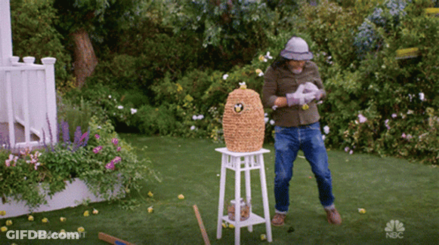 Bee Sting Hurt The Man GIF