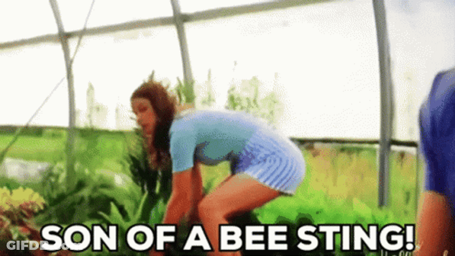 Bee Sting In The Garden GIF