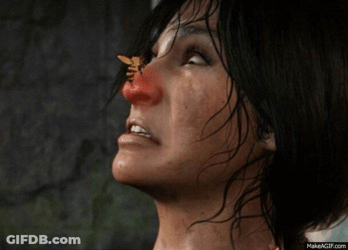 Bee Stinging Nose GIF