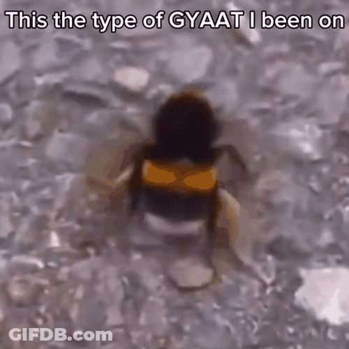 Bee Twerking Meme GIF