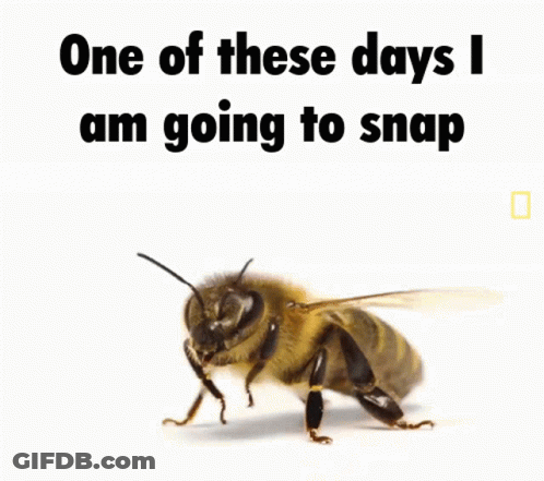 Bee With One Of These Days I Am Going To Snap GIF