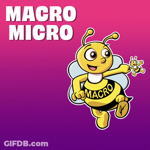 Bee With Words Macro Micro GIF