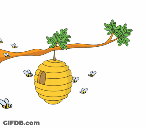 Beehive Hanging From Tree Branch With Bees GIF
