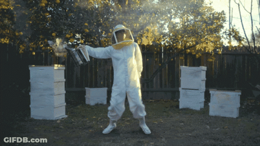 Beekeeper Dancing And Using Smoker GIF